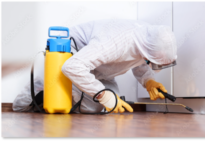 殺菌・消毒・清掃