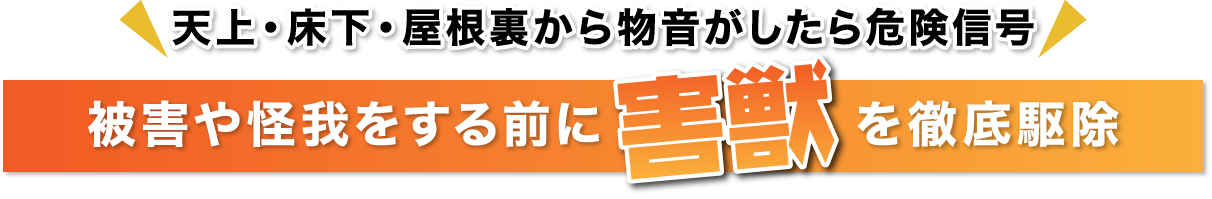 天上・床下・屋根裏から物音がしたら危険信号 被害や怪我をする前に害獣を徹底駆除