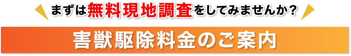 まずは無料現地調査をしてみませんか？ 害獣駆除料金のご案内