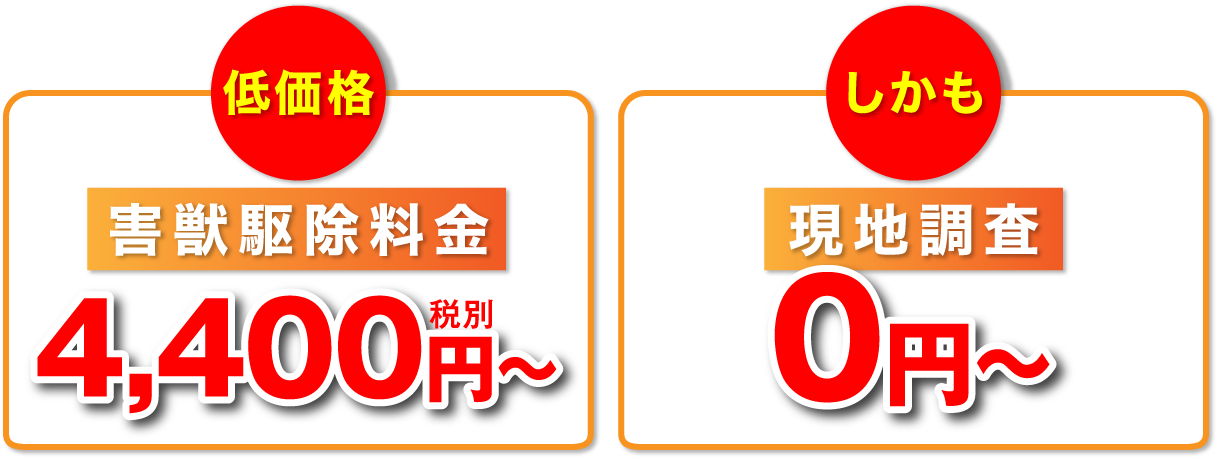低価格 害獣駆除料金 4,400円税別〜 しかも 現地調査 0円〜