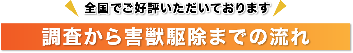 調査から害獣駆除までの流れ