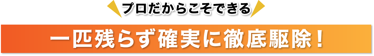 害獣が家に潜んでいるかも